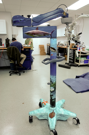 Post image for graphics bring a little bit of the ocean into the operating room