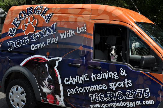 Post image for transit wrap showcases training and boarding in North Georgia