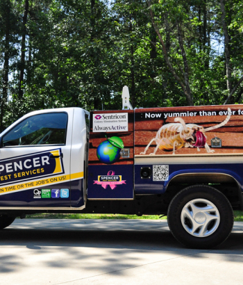 Roswell vinyl vehicle wraps