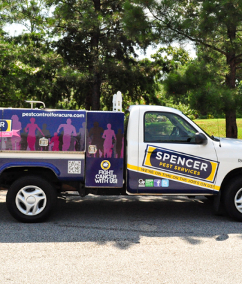 fleet with vinyl vehicle wrap