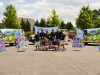 webkinz-experiential-marketing-wraps